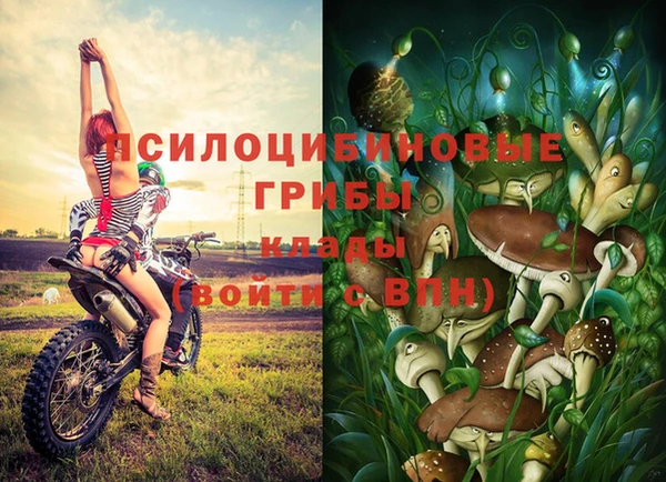 дистиллят марихуана Белокуриха