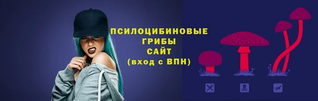 дистиллят марихуана Белокуриха