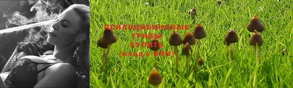 МДМА Богородицк