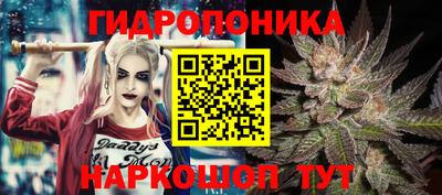 индика Краснокаменск