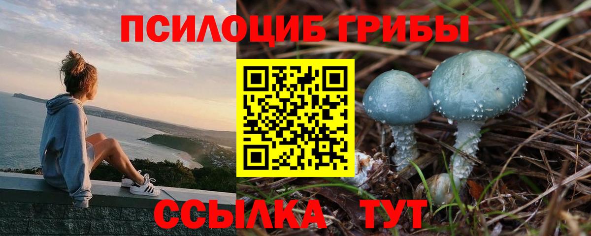 магазин    Псилоцибиновые грибы GOLDEN TEACHER  Вход с VPN  Галлюциногенные грибы ЛСД  Пыть-Ях 